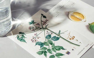 Demystifying Organic Skincare