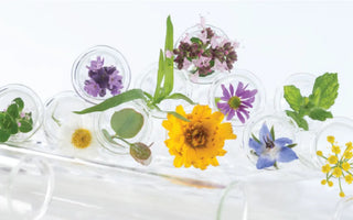 3 Synthetic Skincare Ingredients to Avoid, and their Organic Alternatives